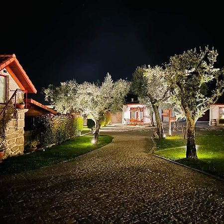 Penedo Village Marco de Canavezes Exterior foto